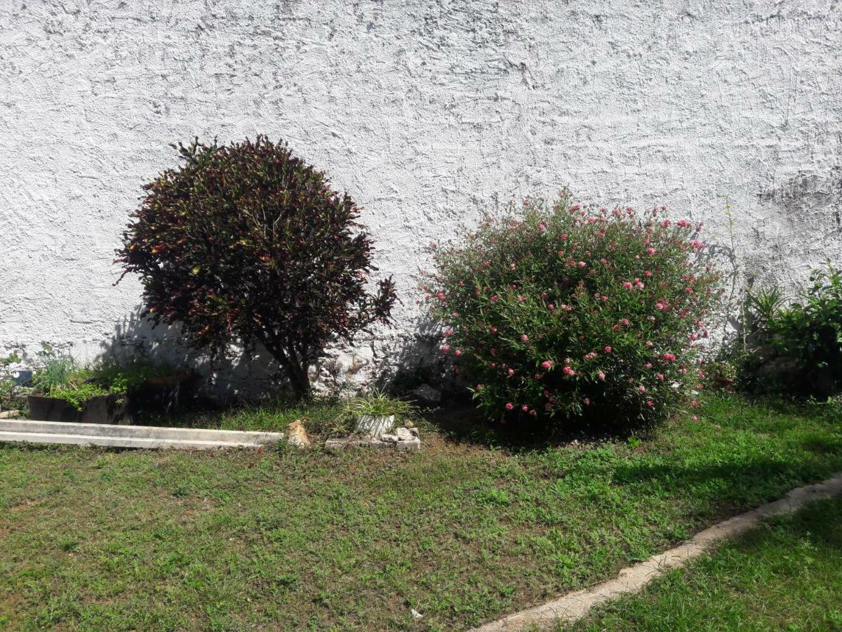 Chichén-Itzá Hostal Y Temazcal Guemez מראה חיצוני תמונה